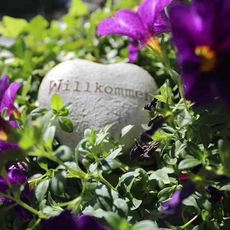 Zirmweber-haus * ザンクト・ヨーハン・イム・ポンガウ