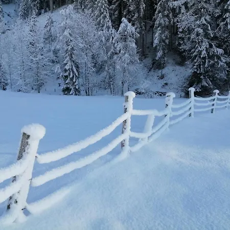 Zirmweber-haus Apartmán *